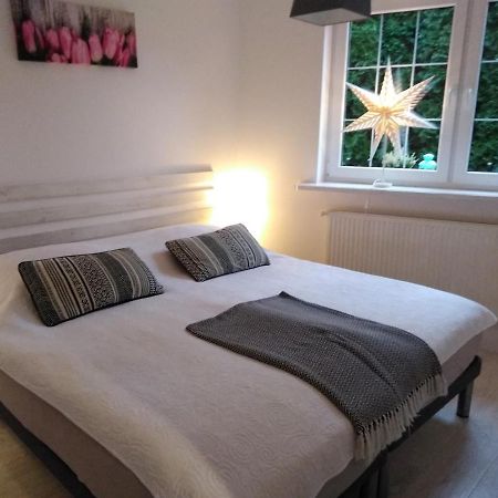 Mizerowka Guest House Kudowa-Zdrój Extérieur photo