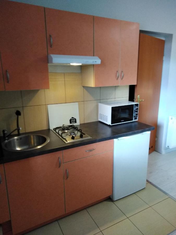 Mizerowka Guest House Kudowa-Zdrój Extérieur photo
