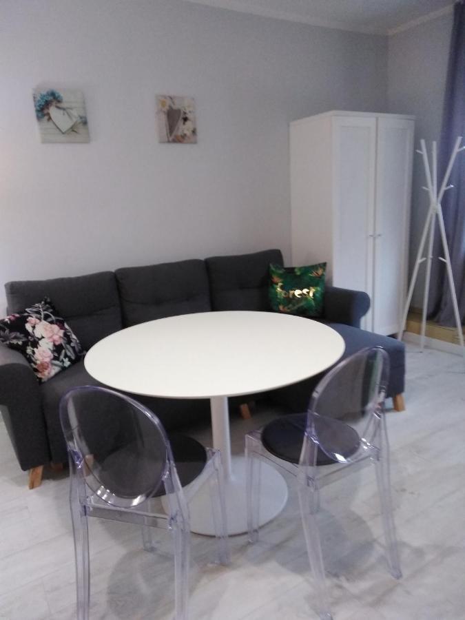 Mizerowka Guest House Kudowa-Zdrój Extérieur photo