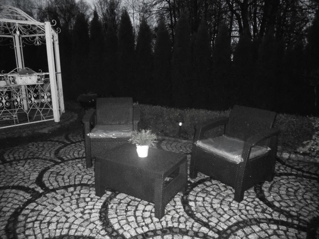 Mizerowka Guest House Kudowa-Zdrój Extérieur photo