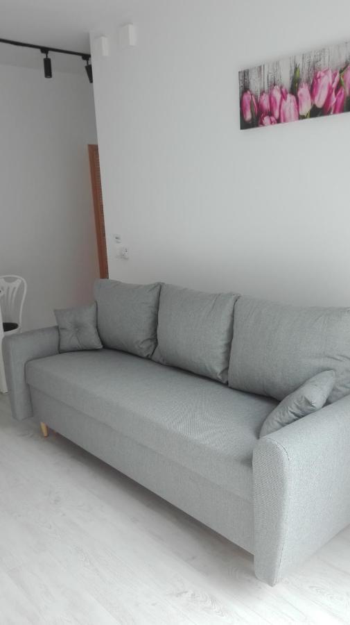 Mizerowka Guest House Kudowa-Zdrój Extérieur photo